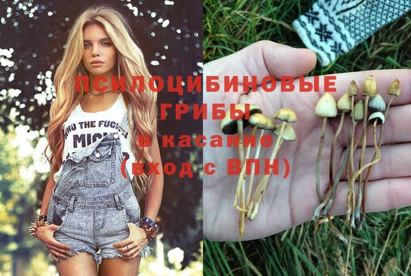 2c-b Балахна