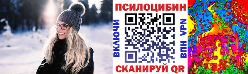 Псилоцибиновые грибы GOLDEN TEACHER  купить  цена  Гудермес 
